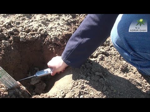 112. Feldexkursion, Ausgangssituation zum Saisonstart