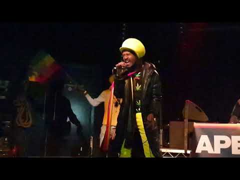 Roger Robin singing Them Say We Wrong alongside Apex Hi-Fi (Jah Shaka Killer)