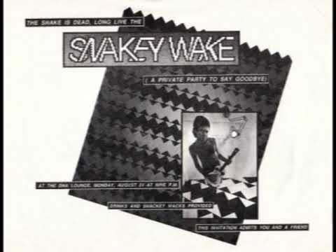 1988 VPRO Radio (Netherlands) - The Residents and Snakefinger Radio Special