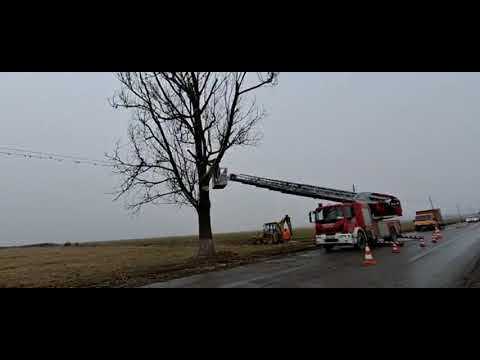 Toaletat arbori DN13E - 10 03 2021