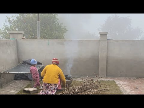 Manmeet jammu is live