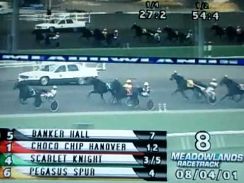 2001 Hambletonian - Scarlet Knight