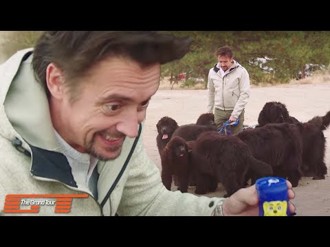 Which SUV Can Fit the Most Amount of Dogs?: Alfa Romeo VS Porsche VS Range Rover | The Grand Tour