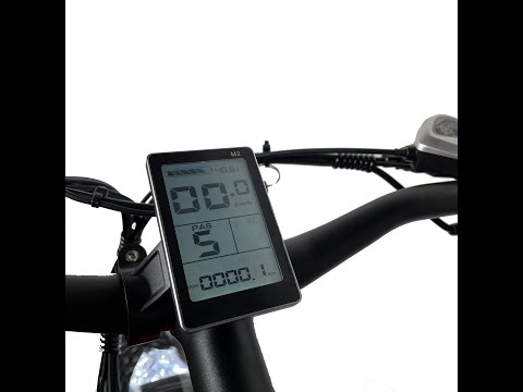 Full setting of ebike display (M5)