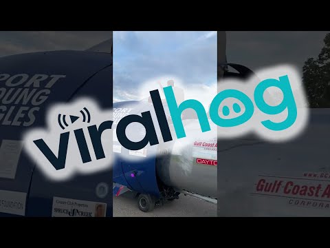 Leaving on a Jet Plane || ViralHog