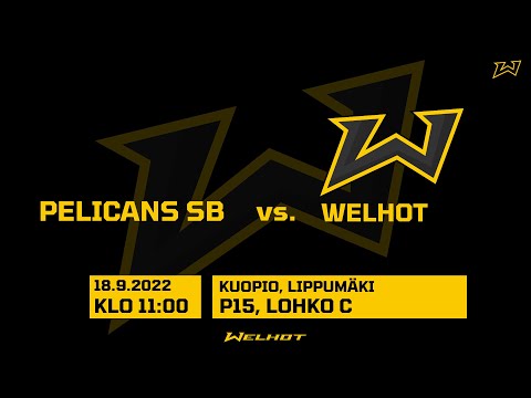 Pelicans SB - Welhot P15