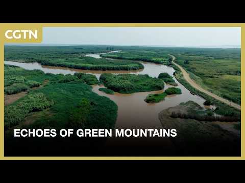 Echoes of Green Mountains