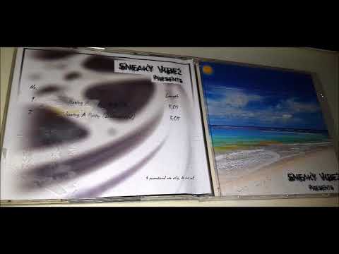 Sneaky Vibez Presents - Having A Party (Unreleased) (-199x-)