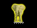 13 Elephant Sound Variations In 32 Seconds