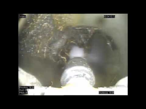 Removing tree roots at pipe joint