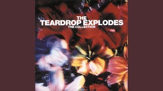 Music video thumbnail preview for Serious Danger by The Teardrop Explodes