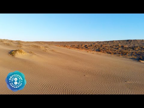 浜松市広報動画「REDISCOVERY HAMAMATSU（魅力再発見　浜松）」中田島砂丘