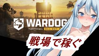 新米兵士のWarDogs