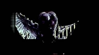 AudioVisual Live Performance by Noceur Pneuma