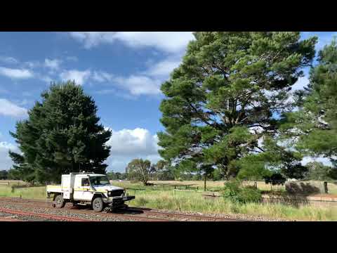 V/Line Hi-Rail Ute at Meredith (29/10/2021)