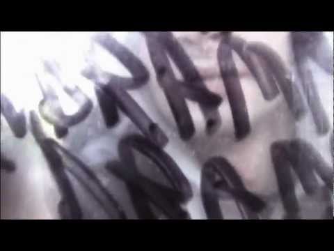 Hiob - Drama Konkret