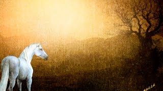 Nana Mouskouri y Gheorghe Zamfir - Lonely Shepherd