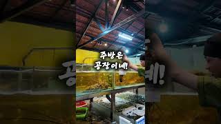 다낭 맛집에서 맛있게~!  #목식당 #다낭 #목씨푸드 #danang #seefood #다낭여행