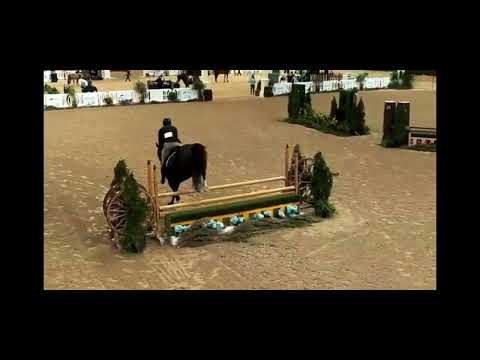 Quandersang video 2