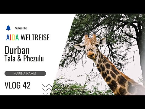 VLOG 42 - Durban, South Africa - Tala Game Reserve & Phezulu - World Cruise AIDAsol 2024 / 2025