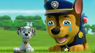 PAW Patrol Academy - Learn New Words Gift, Hatch With Chase - Fun Pet Games For Kids