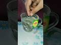 Lipton Green Tea Lipton Green Tea Pure Light Lipton Green Tea 26june