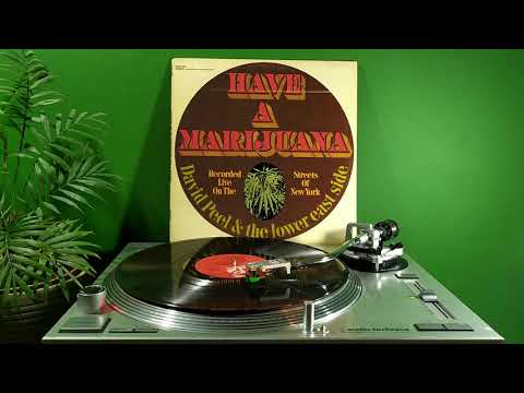 David Peel - Up Against The Wall (1968) (LP Original Sound)