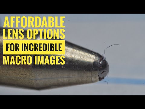 AFFORDABLE LENSES FOR MACRO PHOTOGRAPHY