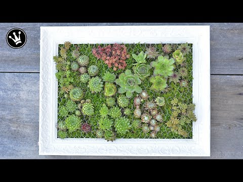 , title : 'DIY - mit Sukkulenten bepflanzter Bilderrahmen  | Vertikaler Garten | Hängender Garten'