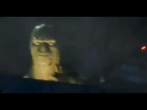Reptilian Backshots