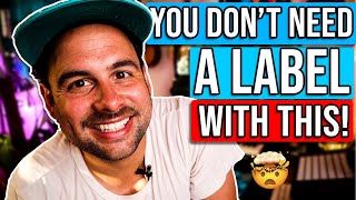 Music Marketing WITHOUT A Label | DistroKid