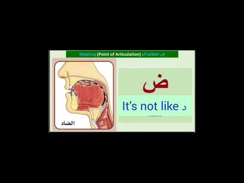 How to pronounce Dhwad ض correctly #tajweed #quran #makhraj #how