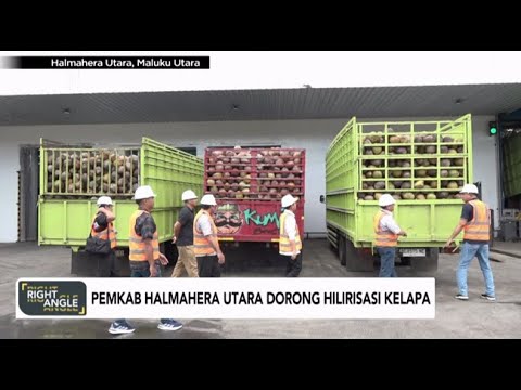 Pemkab Halhamera Utara Dorong Hilirasi Kelapa - Right Angle