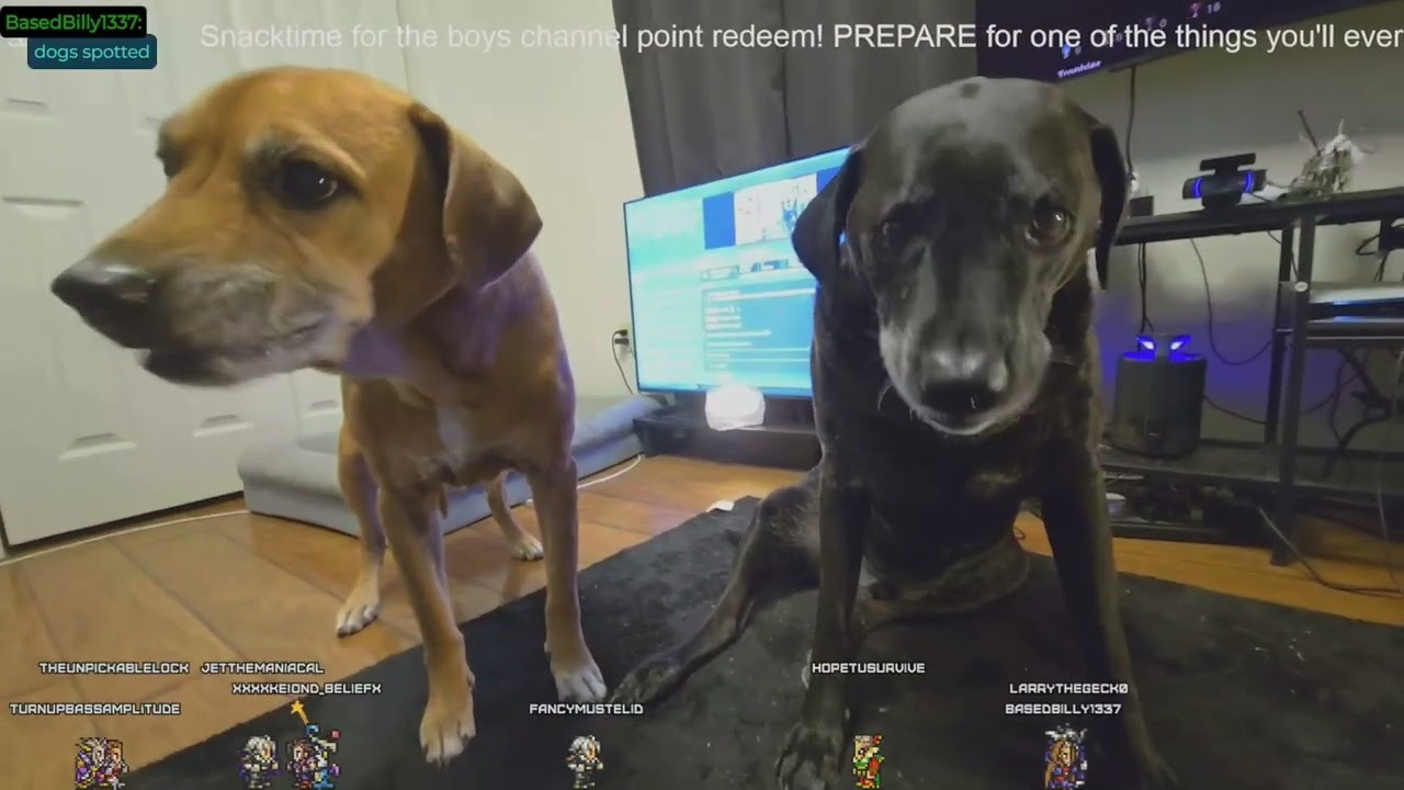 youtube VOD
