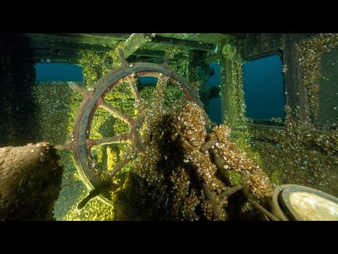 Wreck of the SS Manasoo (August 7th 2022)