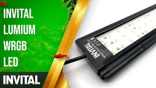 INVITAL Lumium WRGB45 40 cm 11W