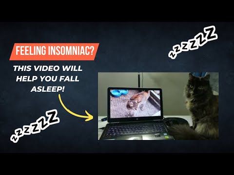 Fall asleep by cats reaction #YouTube😱 | MMK