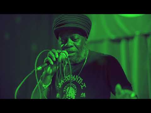 SUBSANITY SOUNDSYSTEM PROMOTION VIDEO CELEBRATING SOUNDSYSTEM CULTURE