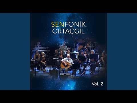 Çığlık Çığlığa (feat. Birsen Tezer)
