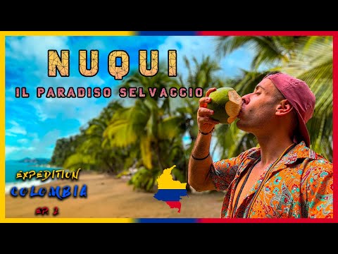 Esplorando Nuquí: Il Paradiso Selvaggio nel Cuore Incontaminato del Chocó | L’Africa in Colombia