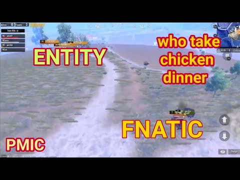 ENTITY VS FNATIC || WHO TAKE CHICKEN DINNER