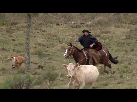 Gauchos / Episode 1 / Saddling Up The World