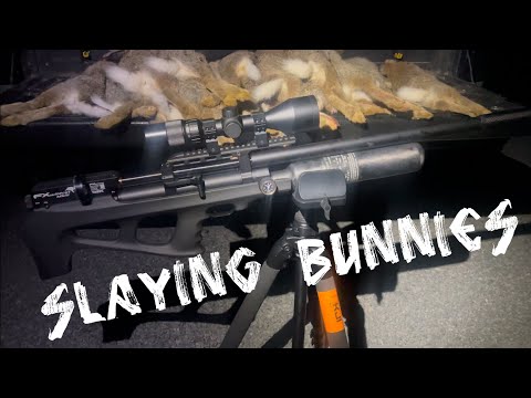 Rabbit Hunting with the FX Wildcat Mk3