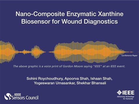Nano-Composite Enzymatic Xanthine Biosensor for Wound Diagnostics
