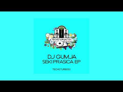 DJ Gumja - Seki Prasica (Original Mix) TECHSTURB050