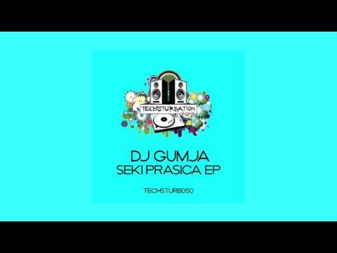 DJ Gumja - Seki Prasica (Original Mix) TECHSTURB050