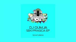 DJ Gumja - Seki Prasica (Original Mix) TECHSTURB050