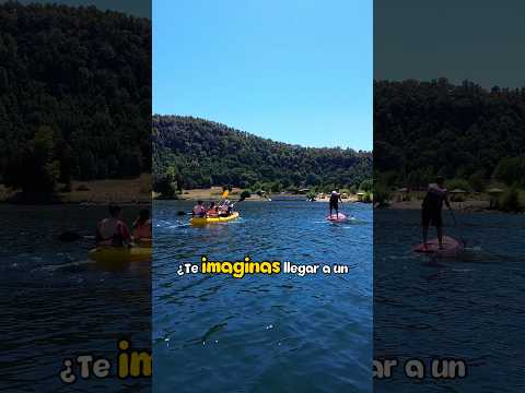 Camping Los Notros 🏕️ en Santa Bárbara, Región del Biobío