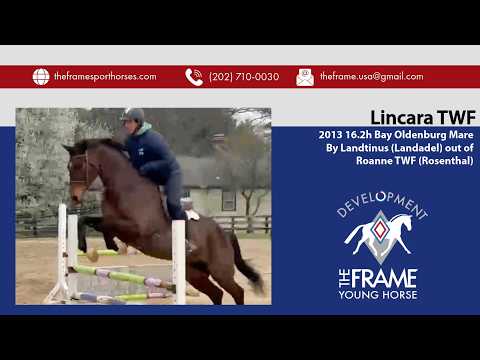 Lillet video 1