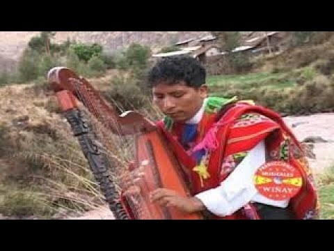 GUALBERTO APAZA / AVIONCHA